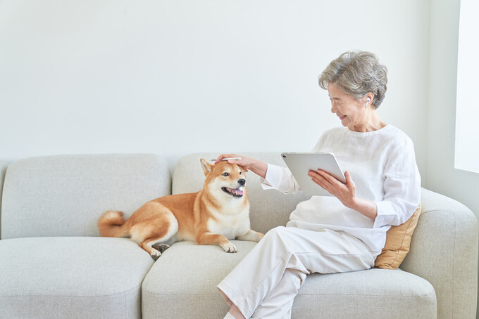 �ϰ�Ƽ�̹���