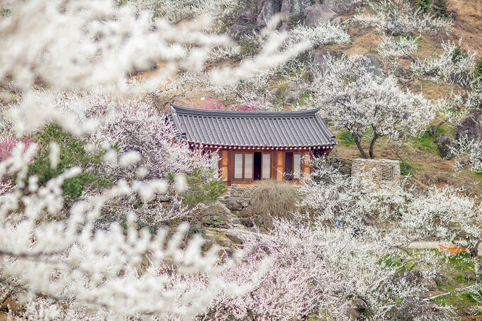 ���� ��ȭ������ �� ��. ©�¿쿩���