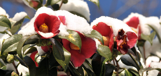 �� �ӿ� �� �����. ©����DB